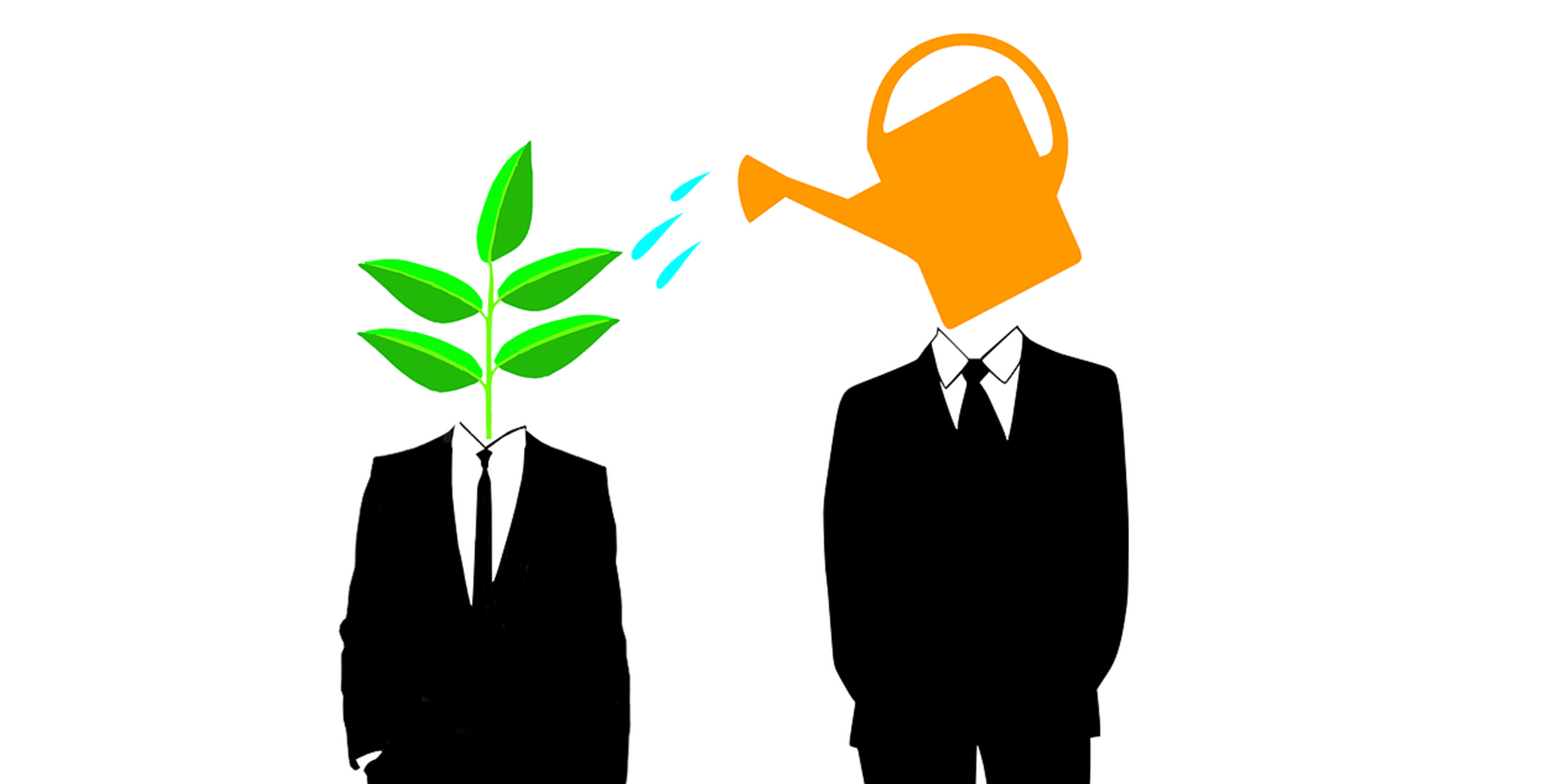 2024__Modele-Viitor-CCOC-BannerWeb-2086-x-1043-px